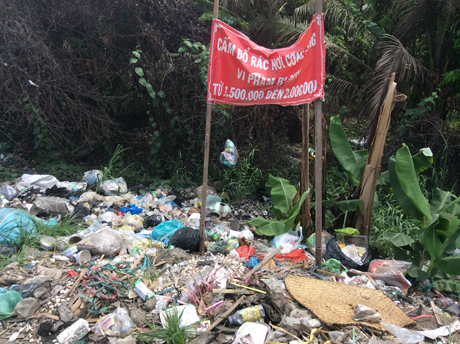 Bất chấp