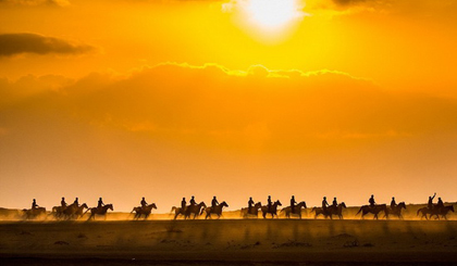 Tác phẩm: Bình minh trên đường đến Al Ain, Dubai - Tác giả: Lal Nallath