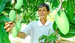 Thí điểm và nhân rộng 10 HTX kiểu mới