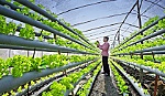 Cuộc thi ảnh thời sự - nghệ thuật tỉnh Cà Mau lần thứ 24