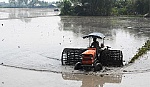 Tích tụ ruộng đất, tháo 