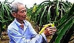 Để phong trào nông dân sản xuất giỏi đi vào đời sống
