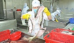 Giá trị xuất khẩu nhiều mặt hàng tăng cao