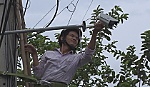 Xã đầu tiên của huyện Chợ Gạo lắp đặt camera an ninh