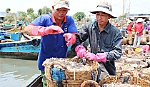 Đáy sông cầu mất mùa