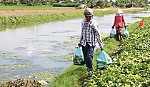 Thị trường nông sản: 2 gam màu và 1 điểm chung