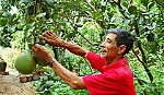 Xây dựng Đảng bộ trong sạch, vững mạnh tiêu biểu gắn với xây dựng NTM