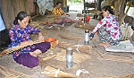 50 năm thăng trầm cùng 
