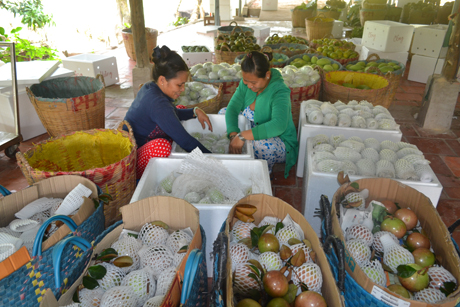 Sản phẩm nông nghiệp luôn gặp khó khăn trong khâu tiêu thụ.