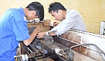 Những chính sách nổi bật có hiệu lực từ tháng 7