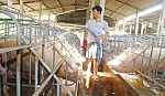 Ngành Nông nghiệp còn đối mặt nhiều khó khăn