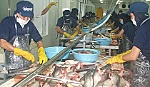 Thị trường tiêu thụ thủy sản đang chuyển hướng mạnh