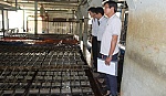 Tăng cường kiểm soát chất lượng nước đá