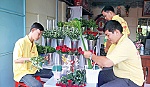Ý tưởng và đích đến trong khởi nghiệp