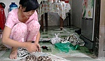 Nấm mối hiếm hàng, giá cao
