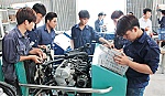 Quan tâm giải quyết việc làm cho con em gia đình chính sách