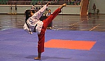 Kết thúc giải Vô địch Teakwondo Tiền Giang năm 2017