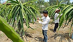 Chuyển mình đi lên của một xã Anh hùng