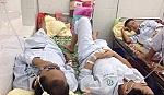 Nhận diện muỗi truyền sốt xuất huyết và vai trò của người dân