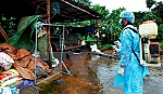 Thủ tướng yêu cầu các tỉnh tăng cường phòng chống sốt xuất huyết