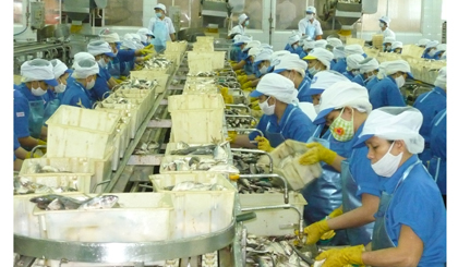 Các chỉ tiêu về sản xuất kinh doanh của Đảng ủy Khối Doanh nghiệp tỉnh đều đạt và tăng so với cùng kỳ năm 2016 (ảnh chụp tạo Công ty TNHH Royal Foods, khu công nghiệp Mỹ Tho)