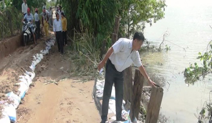  Ông Nguyễn Văn Tú - Phó Chủ tịch UBND huyện khảo sát sạt lở ở An Hữu