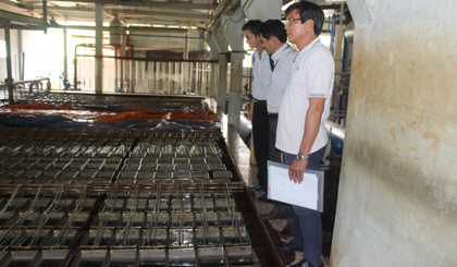 Kiểm tra các cơ sở sản xuất nước đá.