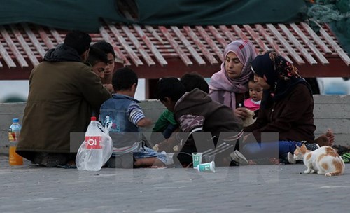 Một gia đình người Palestine ở Gaza. Ảnh: EPA/TTXVN