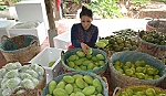 Hợp tác xã phải hoạt động thực chất