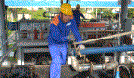Giữ vững thị phần, hoàn thành tốt nghĩa vụ thuế