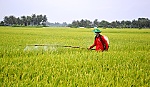 Hiệu quả của phong trào nông dân sản xuất giỏi