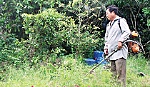 Ông Ba trưởng ấp và 10 năm gắn bó với nhân dân