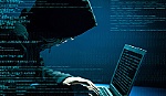 Xây dựng hệ thống thu thập, xử lý thông tin sai phạm trên Internet