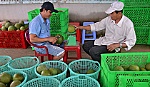 Xuất hiện một số mô hình liên kết hiệu quả