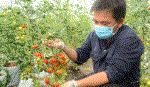 1.204 tỷ đồng cho Dự án Khu nông nghiệp ứng dụng công nghệ cao