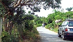 Tản mạn Ba Giồng