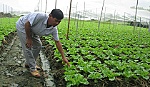 Điểm sáng trong mô hình kinh tế tập thể
