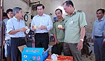 Tăng cường trách nhiệm quản lý Nhà nước về an toàn thực phẩm