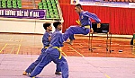 Vovinam Tiền Giang đoạt Huy chương Vàng đầu tiên sau 3 năm