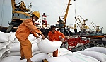 Cuộc chiến gạo và 