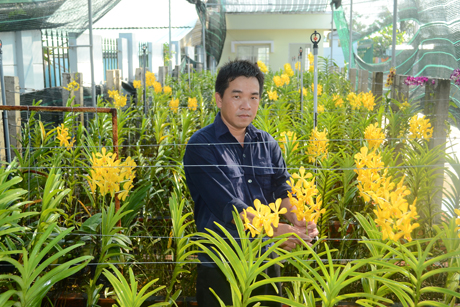 Trồng lan trong nhà lưới.