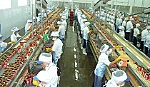 Không ngừng nâng cao chất lượng, an toàn thực phẩm