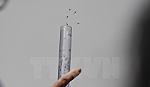 Mở rộng thí điểm ứng dụng muỗi Wolbachia để phòng sốt xuất huyết