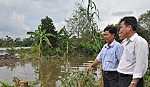 Chủ động, sẵn sàng ứng phó với lũ