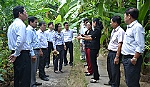 TP. Mỹ Tho có gần 2 ha đất công chưa sử dụng