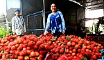 Trăn trở cùng 
