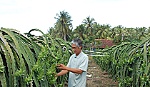Chuyển biến tích cực qua thực hiện Chỉ thị 05 ở xã Tân Thuận Bình