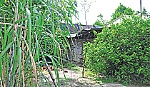 Cả nước đã sát cánh cùng Nam bộ trong những ngày kháng chiến...