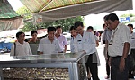 Cẩn trọng với bánh Trung Thu giảm giá sớm trên thị trường