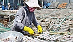 Lợi thế và tiềm năng của kinh tế biển